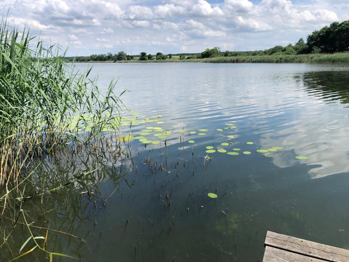 Haus Am See Mit Steg, Boot, Kamin Und Sauna - Mecklenburgische Seenplatte Βίλα Blankensee  Εξωτερικό φωτογραφία