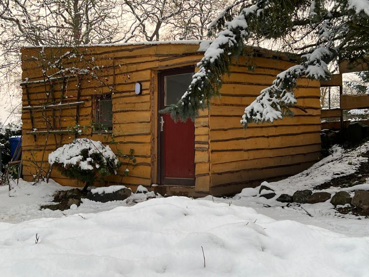 Haus Am See Mit Steg, Boot, Kamin Und Sauna - Mecklenburgische Seenplatte Βίλα Blankensee  Εξωτερικό φωτογραφία