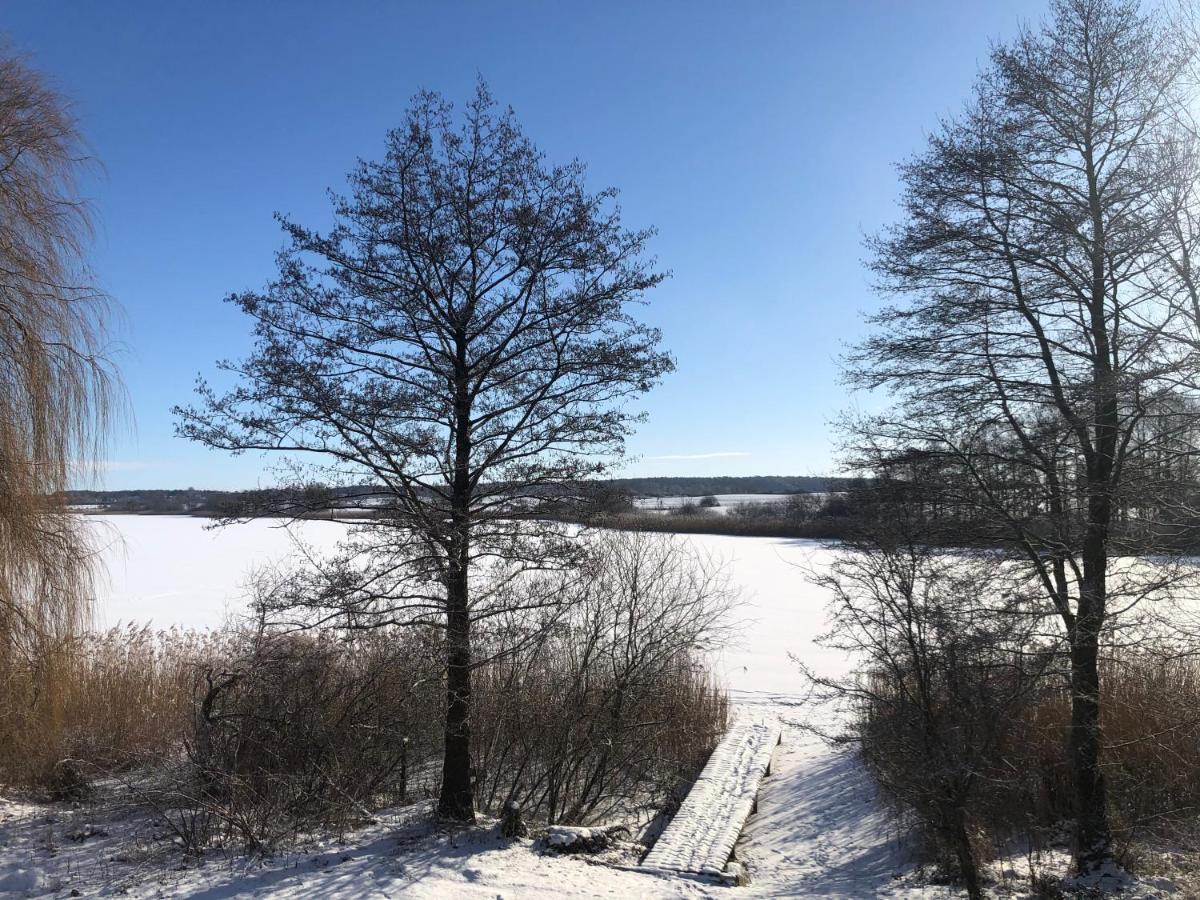 Haus Am See Mit Steg, Boot, Kamin Und Sauna - Mecklenburgische Seenplatte Βίλα Blankensee  Εξωτερικό φωτογραφία