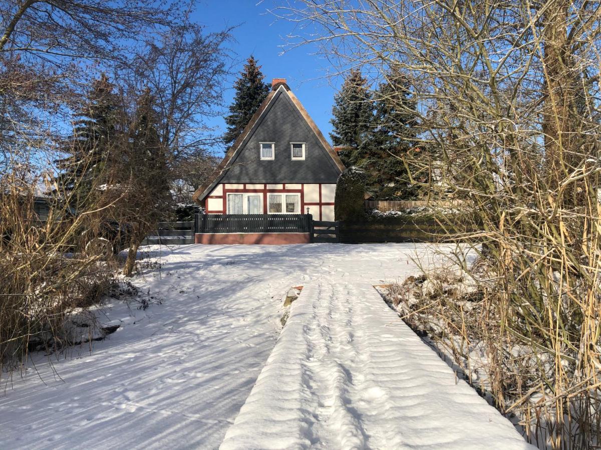 Haus Am See Mit Steg, Boot, Kamin Und Sauna - Mecklenburgische Seenplatte Βίλα Blankensee  Εξωτερικό φωτογραφία